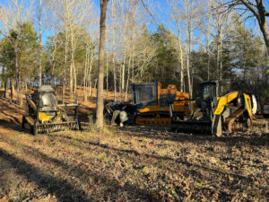 Shuffled-Land-Clearing-2