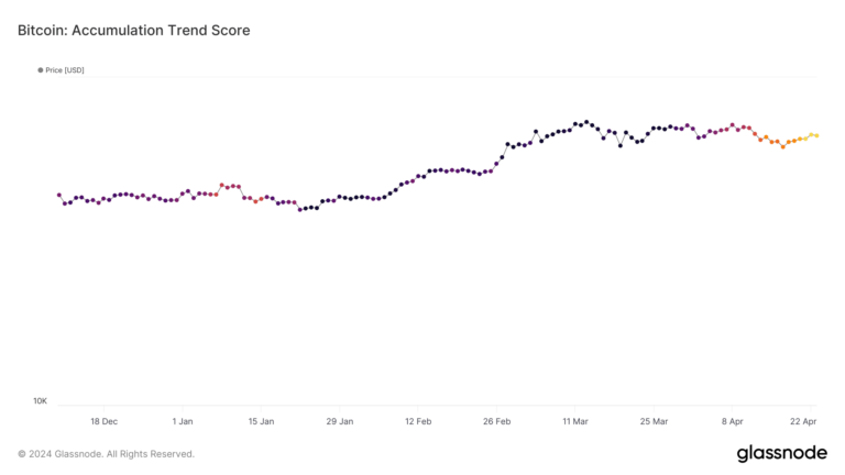 glassnode studio bitcoin accumulation trend score