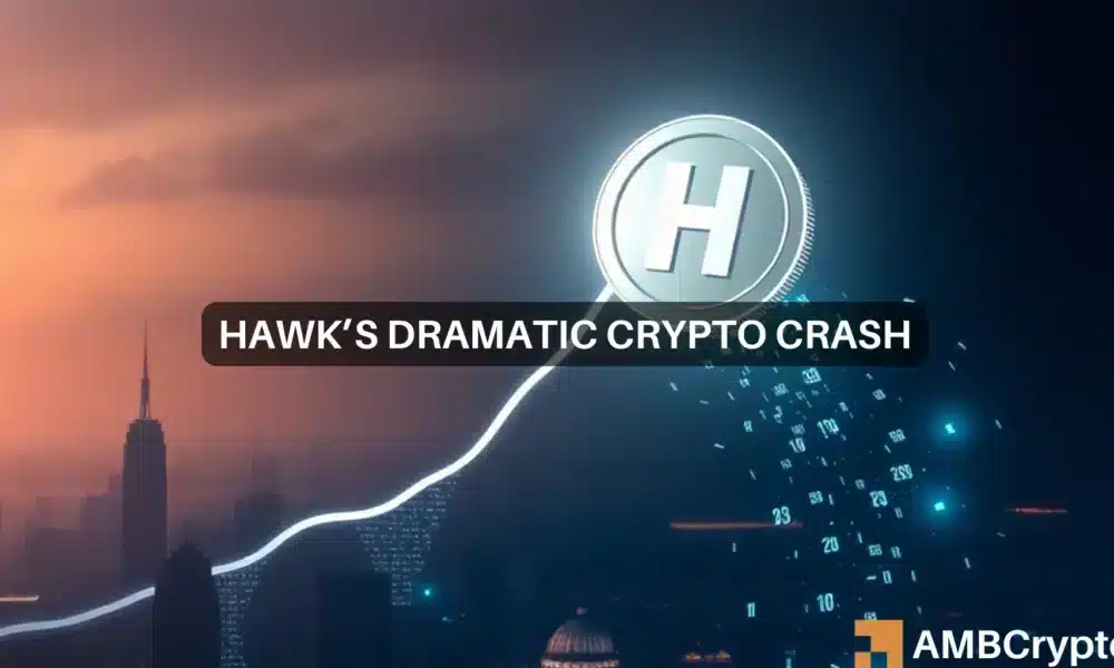 HAWKs dramatic crypto crash