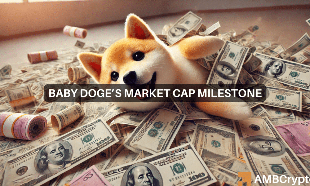 babydoge canva