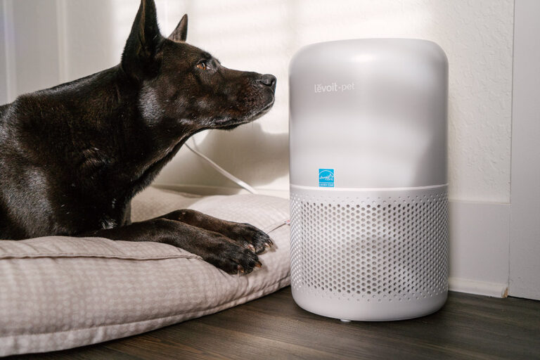 levoit p350 air purifier